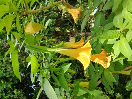 U3O _ zaključek (5)